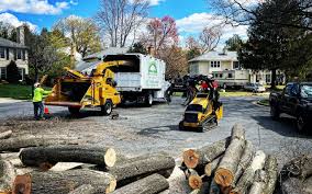 Lawn Renovation and Restoration in Rockwood, MI