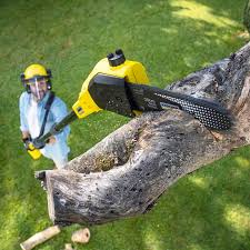  Rockwood, MI Tree Care Pros