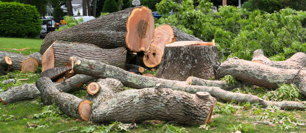 Best Lawn Maintenance Plans  in Rockwood, MI